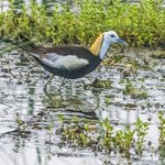 Photo taken by Graham D