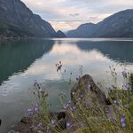 Photo taken by Sarina H