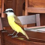 Photo taken by Alda Bernice M