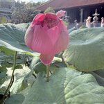 Photo taken by michelle K