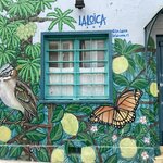 Photo taken by Catherine M