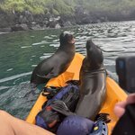 Photo taken by Ben S