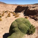 Photo taken by alton r