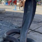 Photo taken by Julie A