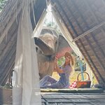 Photo taken by Collins M