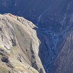 Photo taken by Alpa M