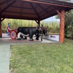 Photo taken by Joyce C