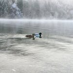 Photo taken by Jocelyn C