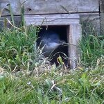 Photo taken by Rand M