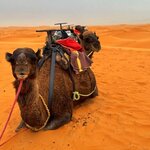 Photo taken by Deb H