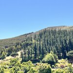 Photo taken by Michelle L