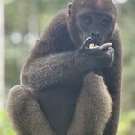 Photo taken by Sangeetha R