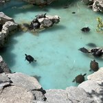 Photo taken by Nora A