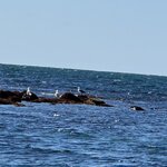 Photo taken by Dawn S