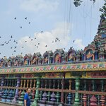 Photo taken by Sabiha K