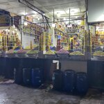 Photo taken by Mark L