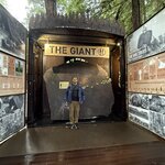 Photo taken by Mary B