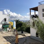 Photo taken by Laura M