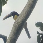 Photo taken by Breann B