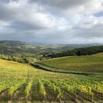 Photo taken by Nyemal C