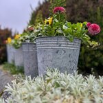 Photo taken by Kim G