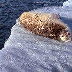 Photo taken by Sharon B