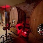 Photo taken by Anita N