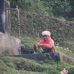 Modern convenience - town tap water | Photo taken by Susan H