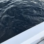 Photo taken by Alfredo H