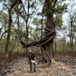 Photo taken by Jean A