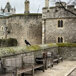 Photo taken by Marcy B