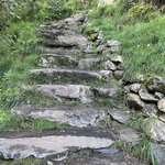 Photo taken by Mary Ellen J