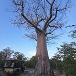 Photo taken by Kaye D