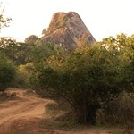 Photo taken by Sylvanna C