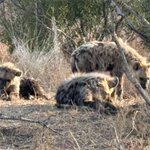 Photo taken by Paul B