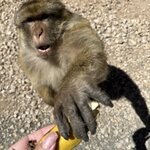 Photo taken by Kristin M