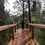 Photo taken by Fernanda S