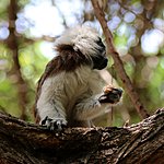 Photo taken by Linda M