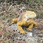 Photo taken by Heather E