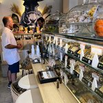 Photo taken by Ellen B