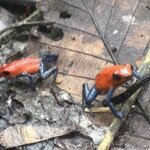 Photo taken by katie u