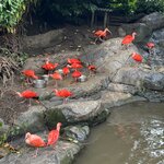 Photo taken by Jill B