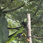 Photo taken by Erika M