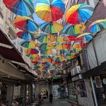 Photo taken by Sushma S