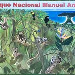 Photo taken by Samantha S