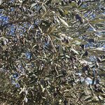 Photo taken by Nicole W