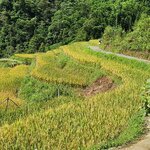 Photo taken by Sevi Y