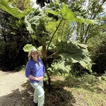 Photo taken by Steven C