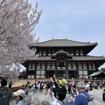 Photo taken by Norma M