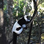 Photo taken by William R